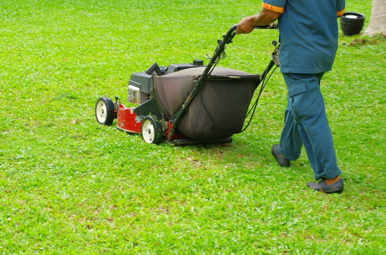 Person mowing a green lawn with a red and black lawnmower; sunny outdoor setting.