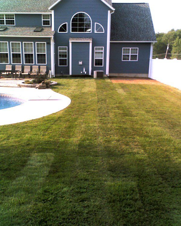 Backyard with a blue house, swimming pool, and green lawn.