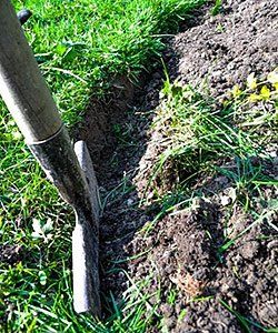 Shovel cutting a trench in dirt, next to grass.
