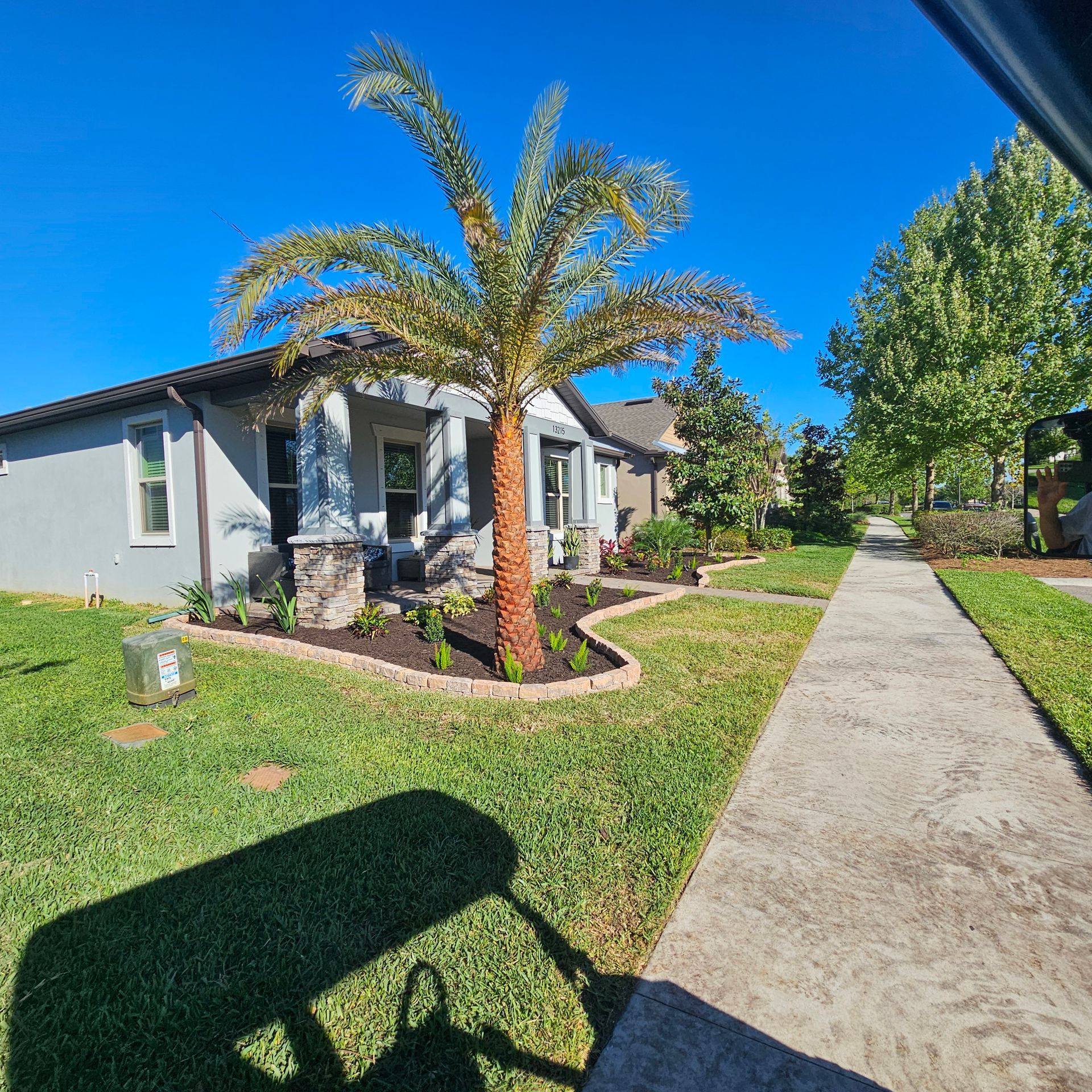 A modern gray house with a palm tree in the front garden next to a paved sidewalk under a clear blue sky.