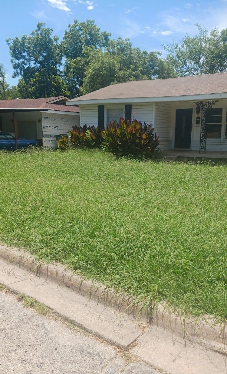 A house with overgrown lawn and small bushes. Overcast sky with trees in the background.