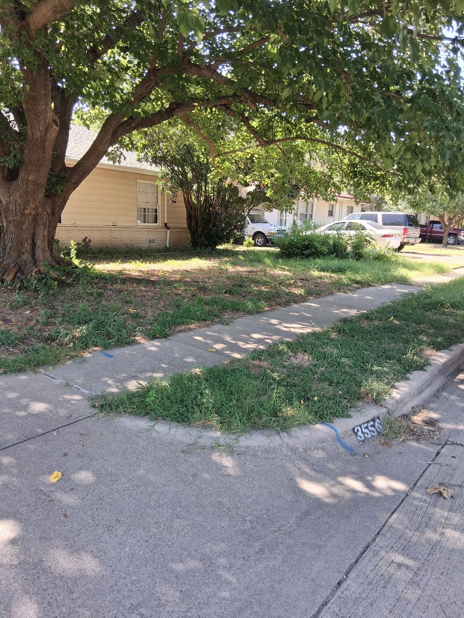 Sidewalk with grass borders next to a street. A house is in the background beneath a large tree.