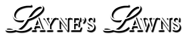 Layne's Lawns logo with stylized text in black.