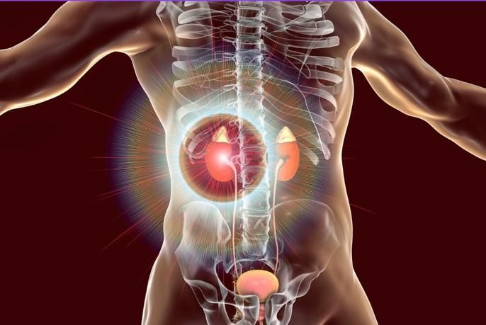 Médica para doenças da hipófise e adrenal em Maringá