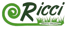 PRATO PRONTO RICCI - LOGO