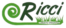 PRATO PRONTO RICCI - LOGO