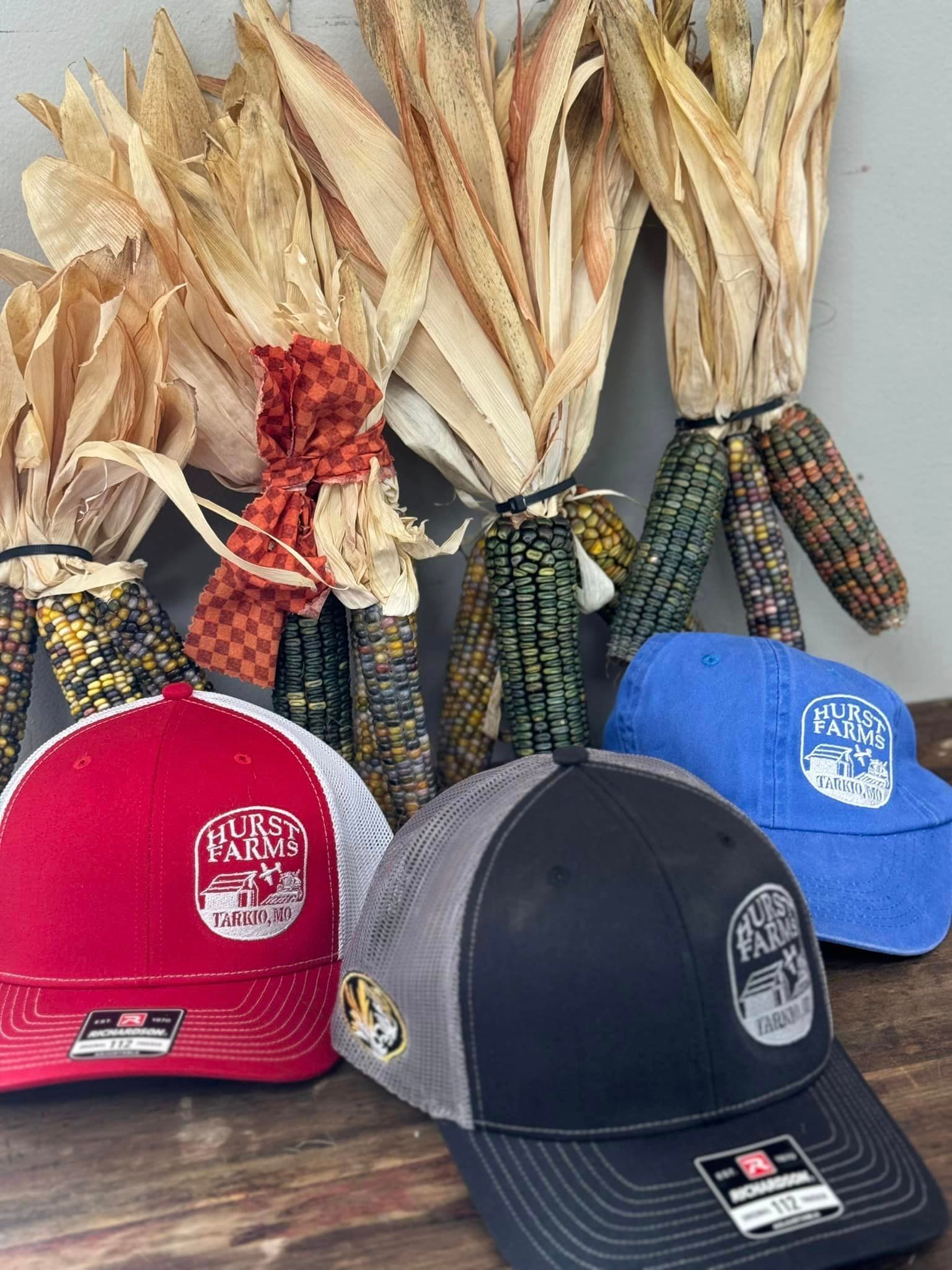 Two red, black, and blue caps in front of dried corn stalks and colorful Indian corn cobs.