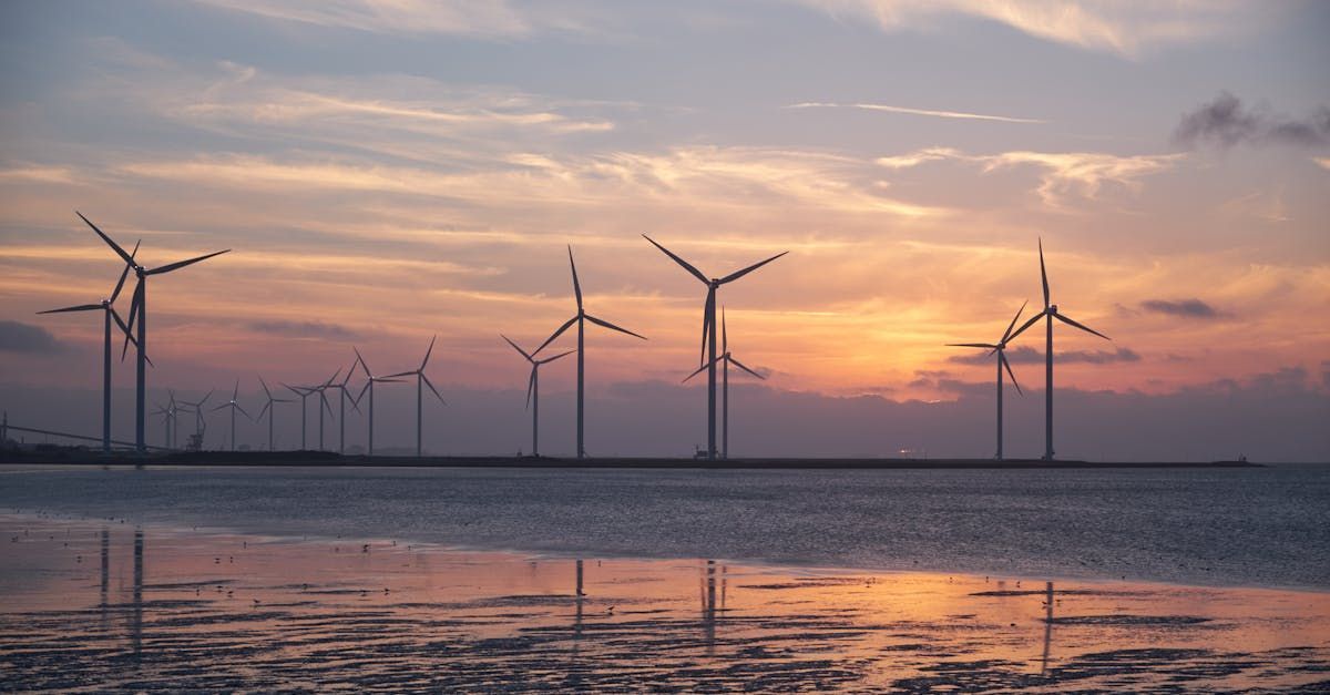 Wind turbines along a shoreline at sunset, reflected in calm water under a pink-orange sky