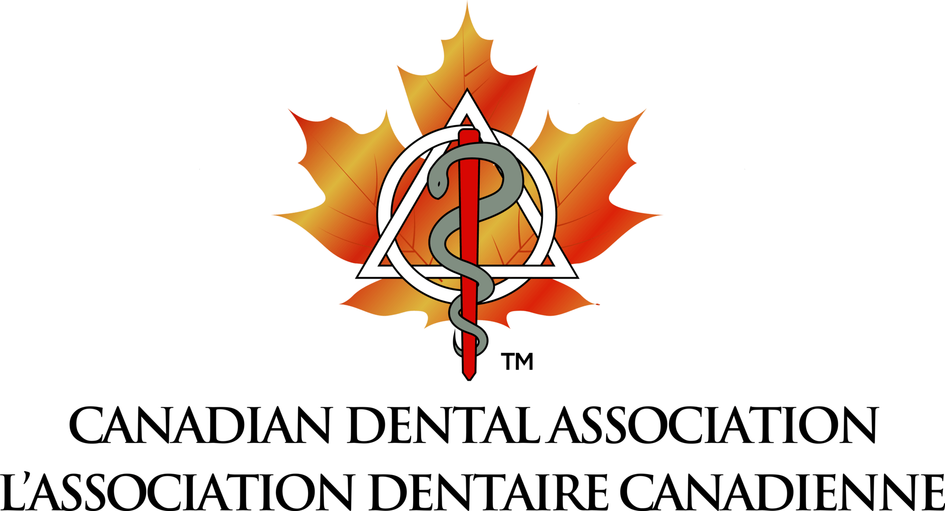 Canadian Dental Association Logo | Bloor Street Dental | Best Family and Cosmetic Dentist In Mississauga For Implants, Braces, and Invisalign