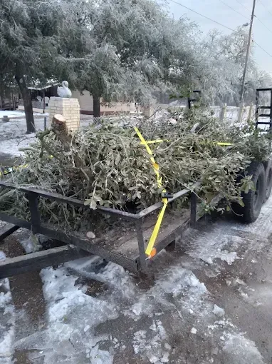 Trailer loaded with tree branches and tied down with yellow straps on a frosty roadside