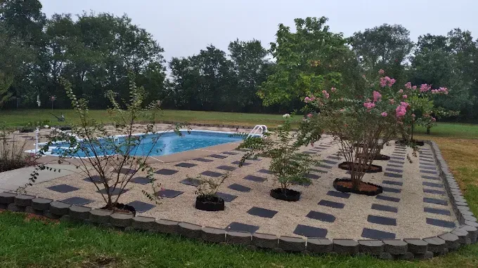 Backyard pool with paved patio, potted plants, and pink flowering shrubs beside a lawn