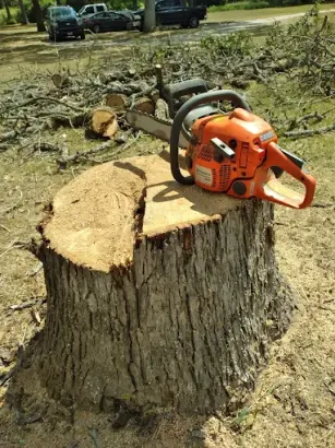 Chainsaw resting on a freshly cut tree stump in a wooded yard, with logs and debris behind it.