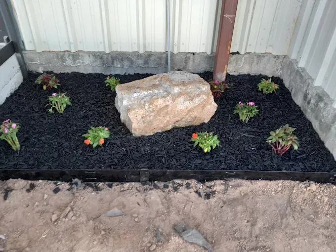 Small garden bed with black mulch, a central rock, and six small flowering plants against a wall.