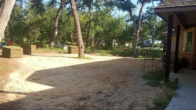 Sandy courtyard with trees and a building walkway in bright sunlight