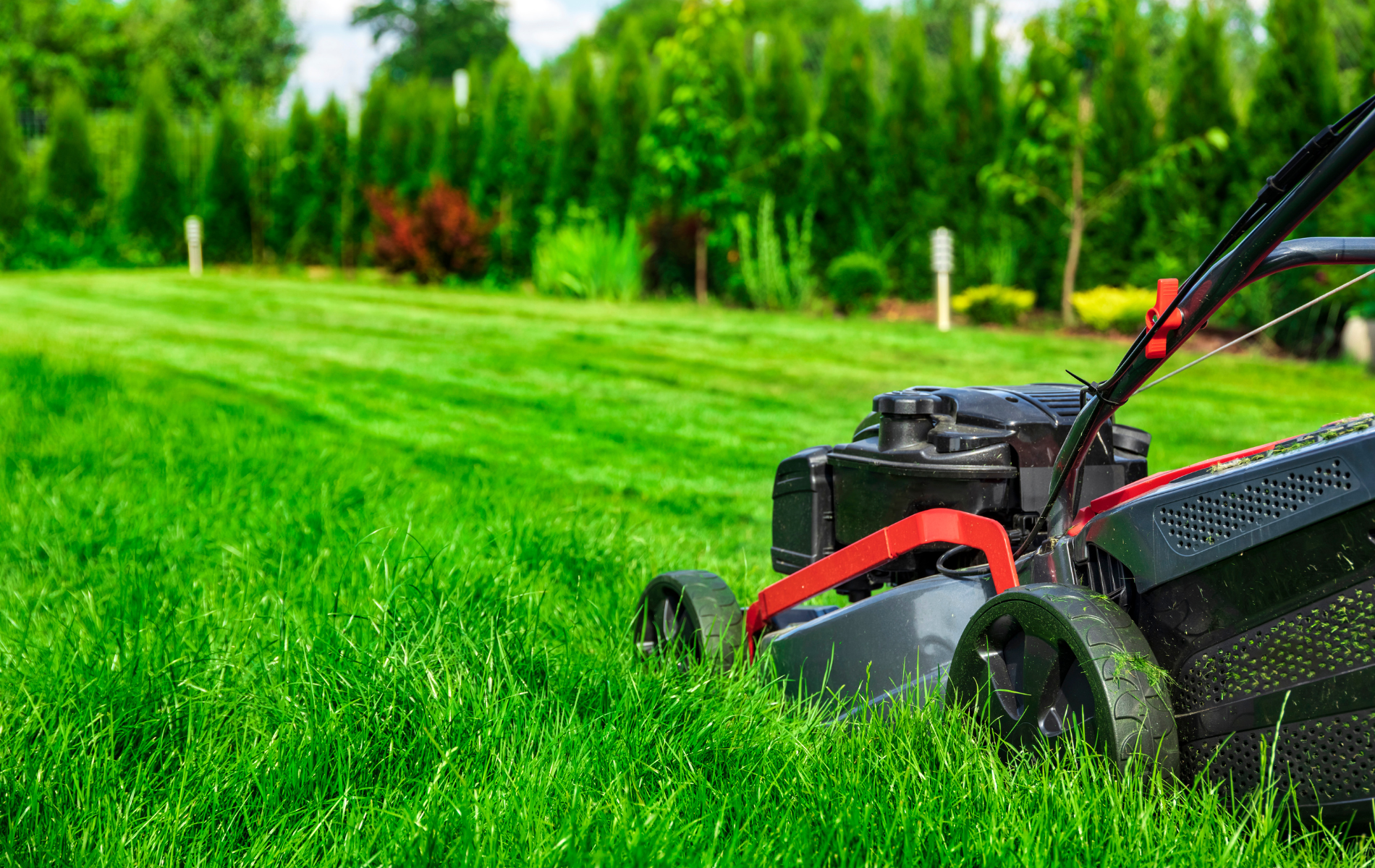 Red lawn mower cutting tall green grass in a yard with trees in the background