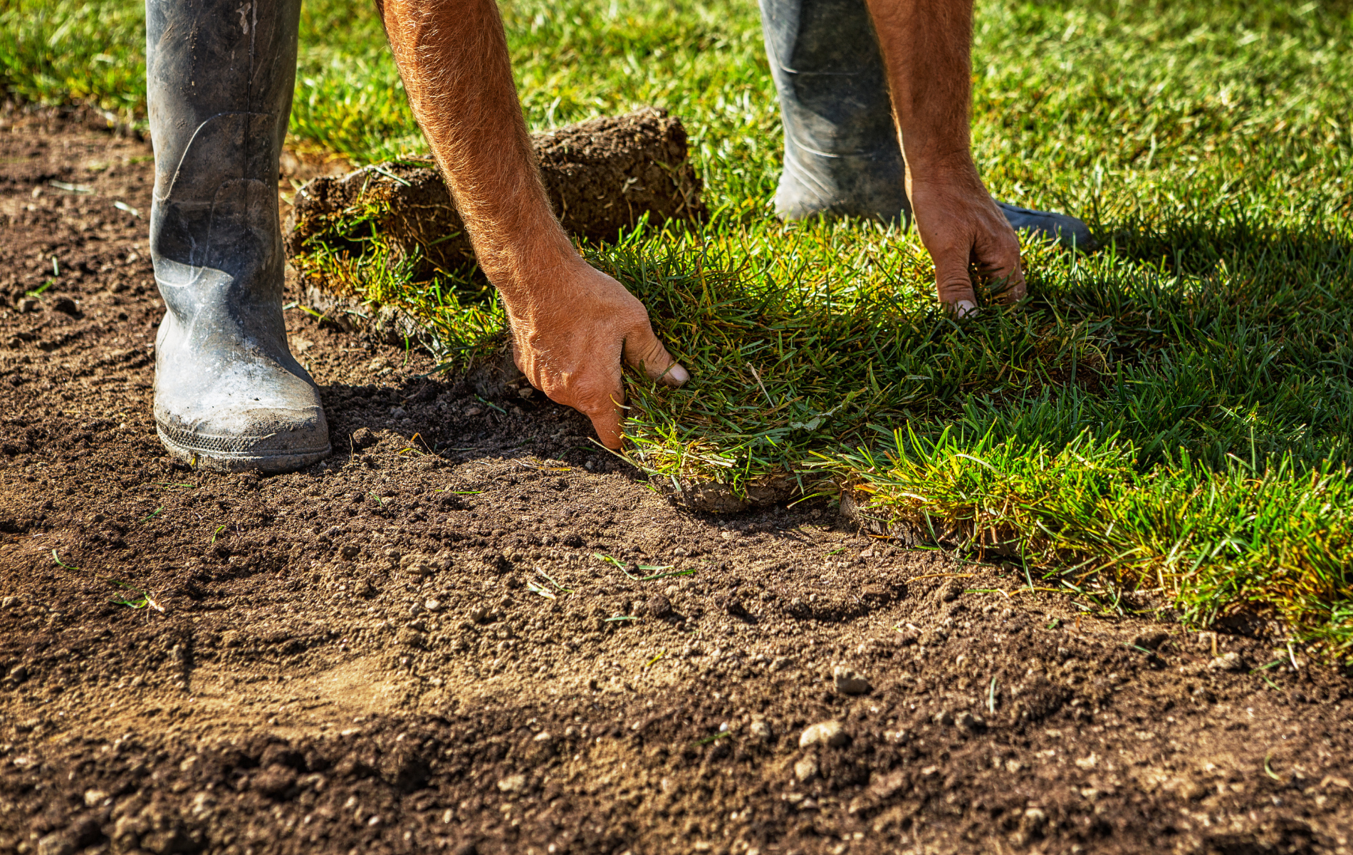 Gloved hands smoothing soil beside a grassy edge near a horse’s legs