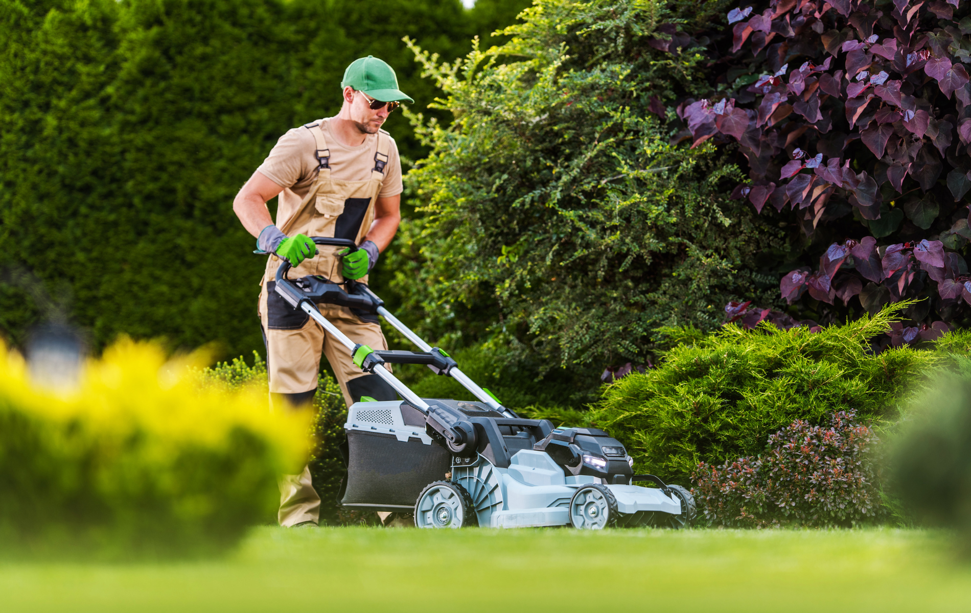 Person using a push lawn mower in a lush green garden with yellow flowers and purple shrubs.