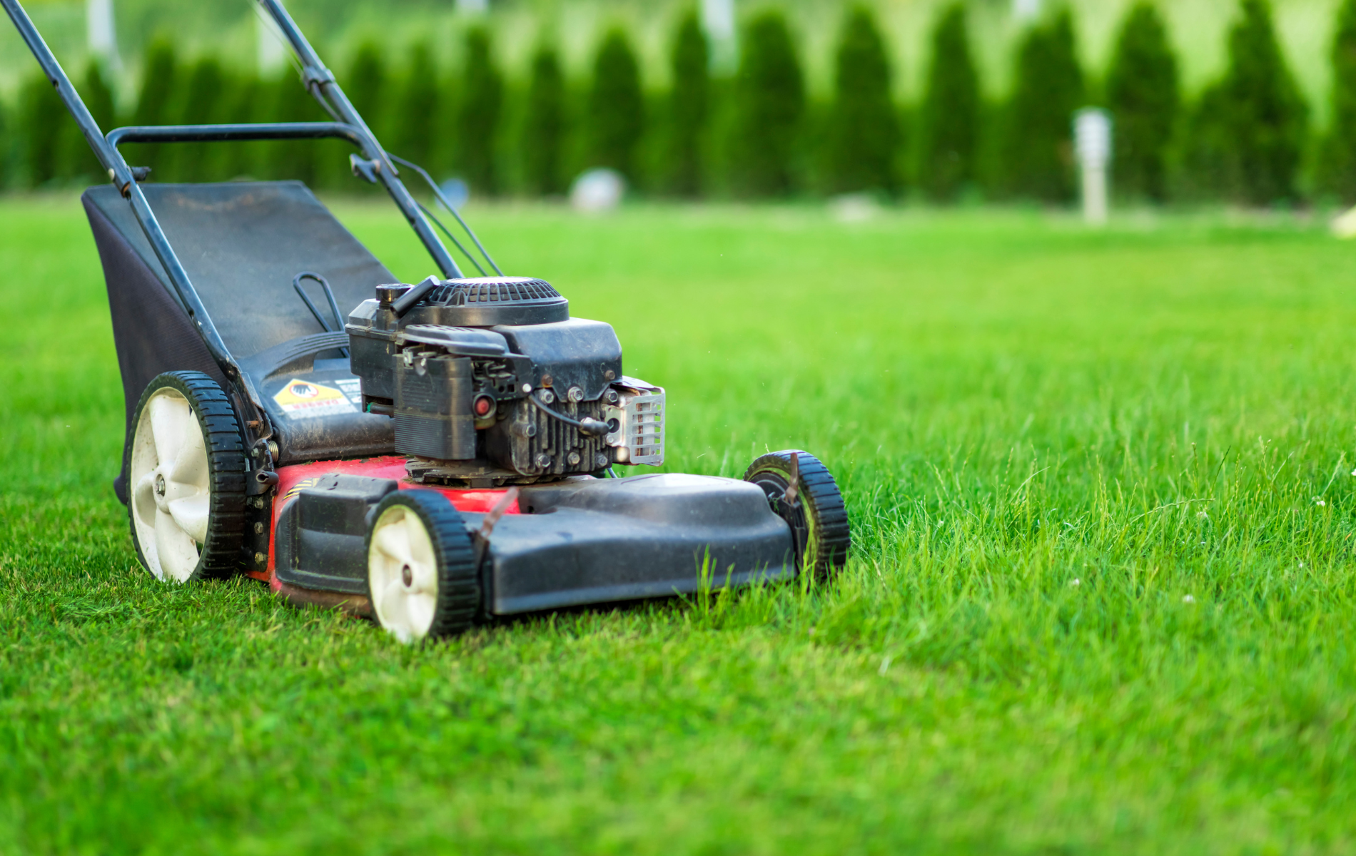 Push lawn mower on a green grass lawn with trees in the background