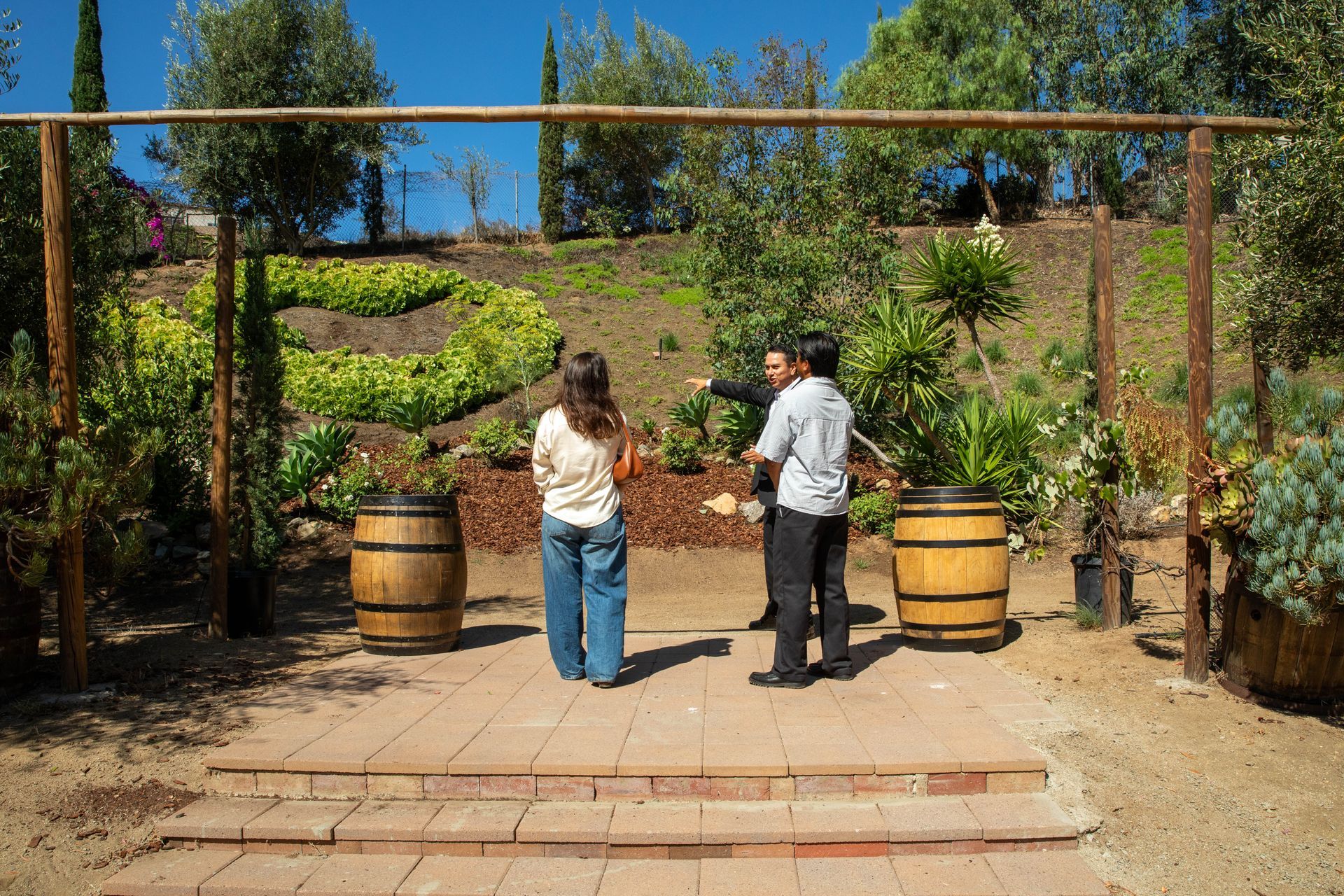 Two people standing in a vineyard entrance between wooden barrels under a trellis