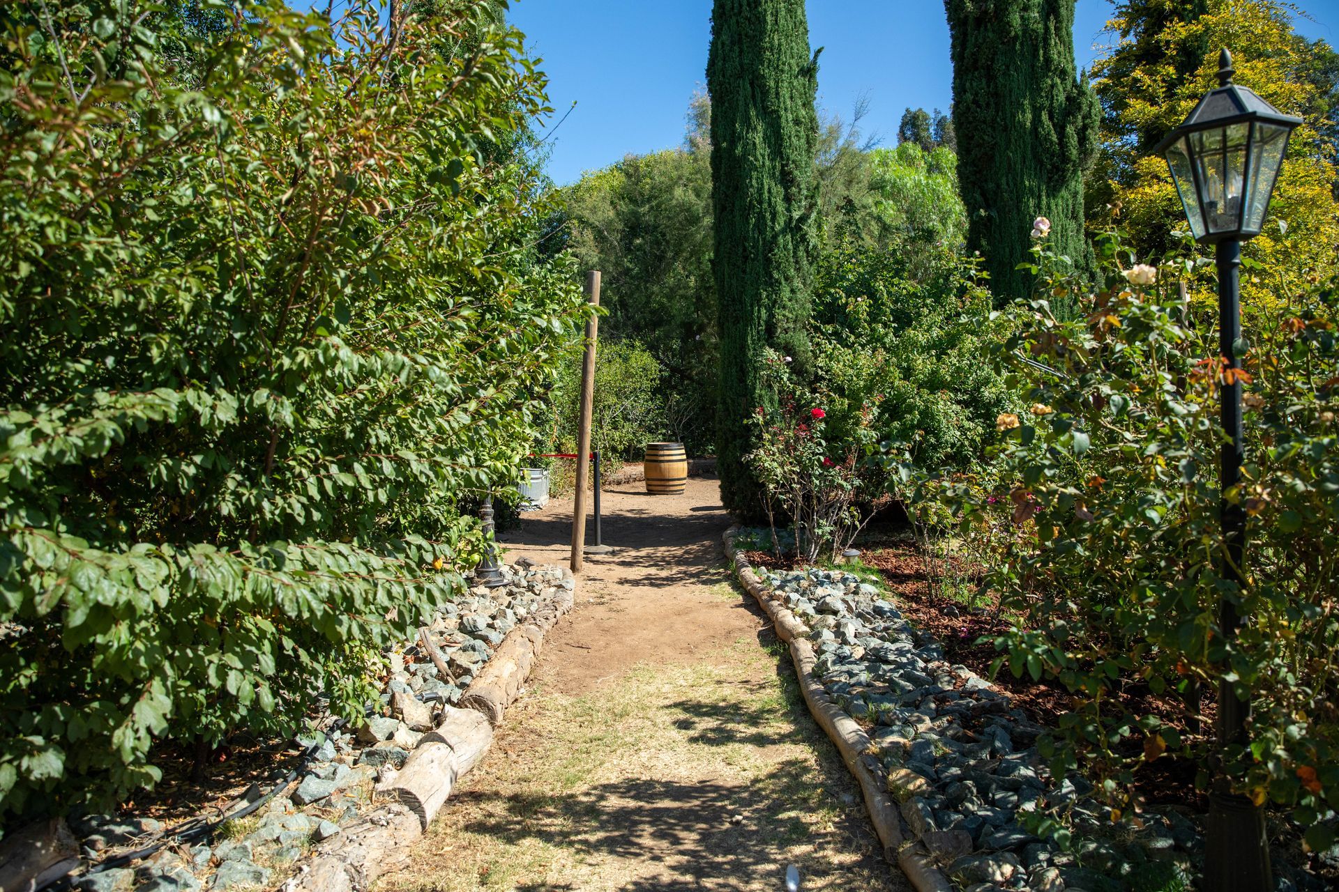 Garden path lined with rocks and greenery, leading past tall cypress trees and a lamp post