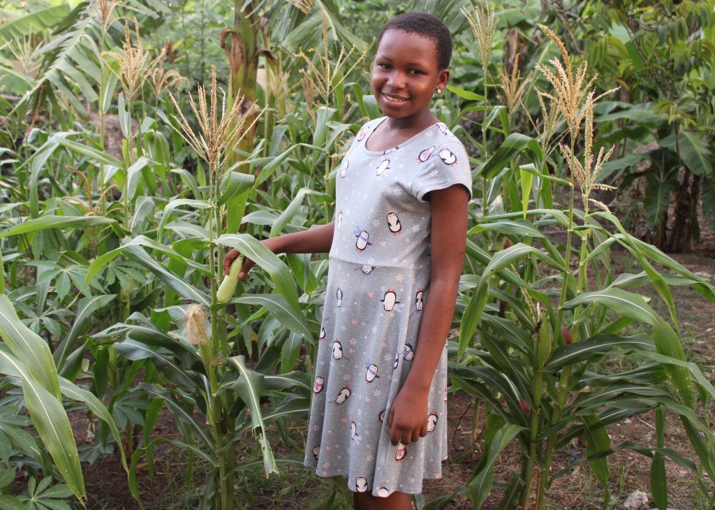 A young girl in a dress is standing in a corn field.