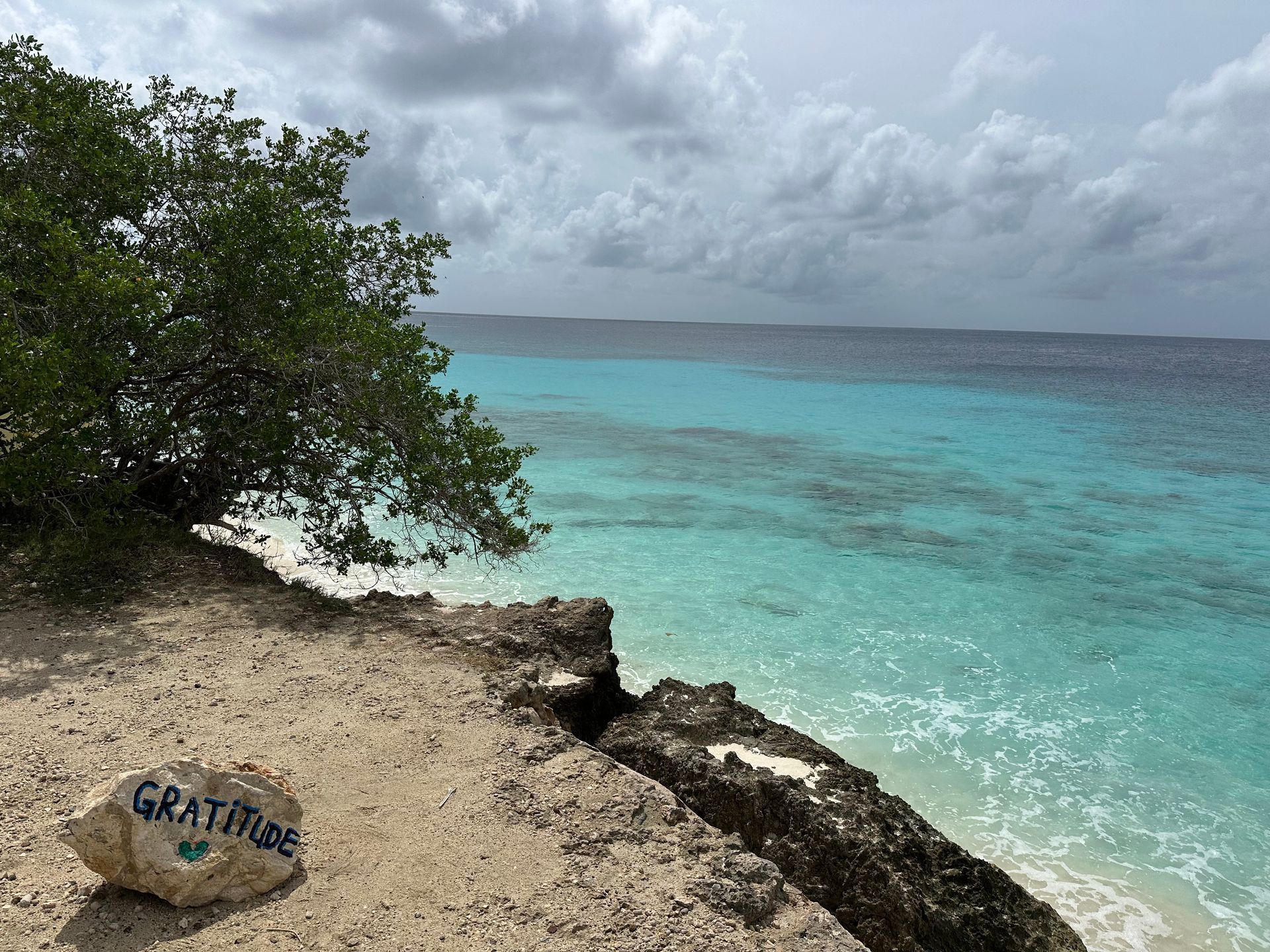 Planning a trip to Bonaire