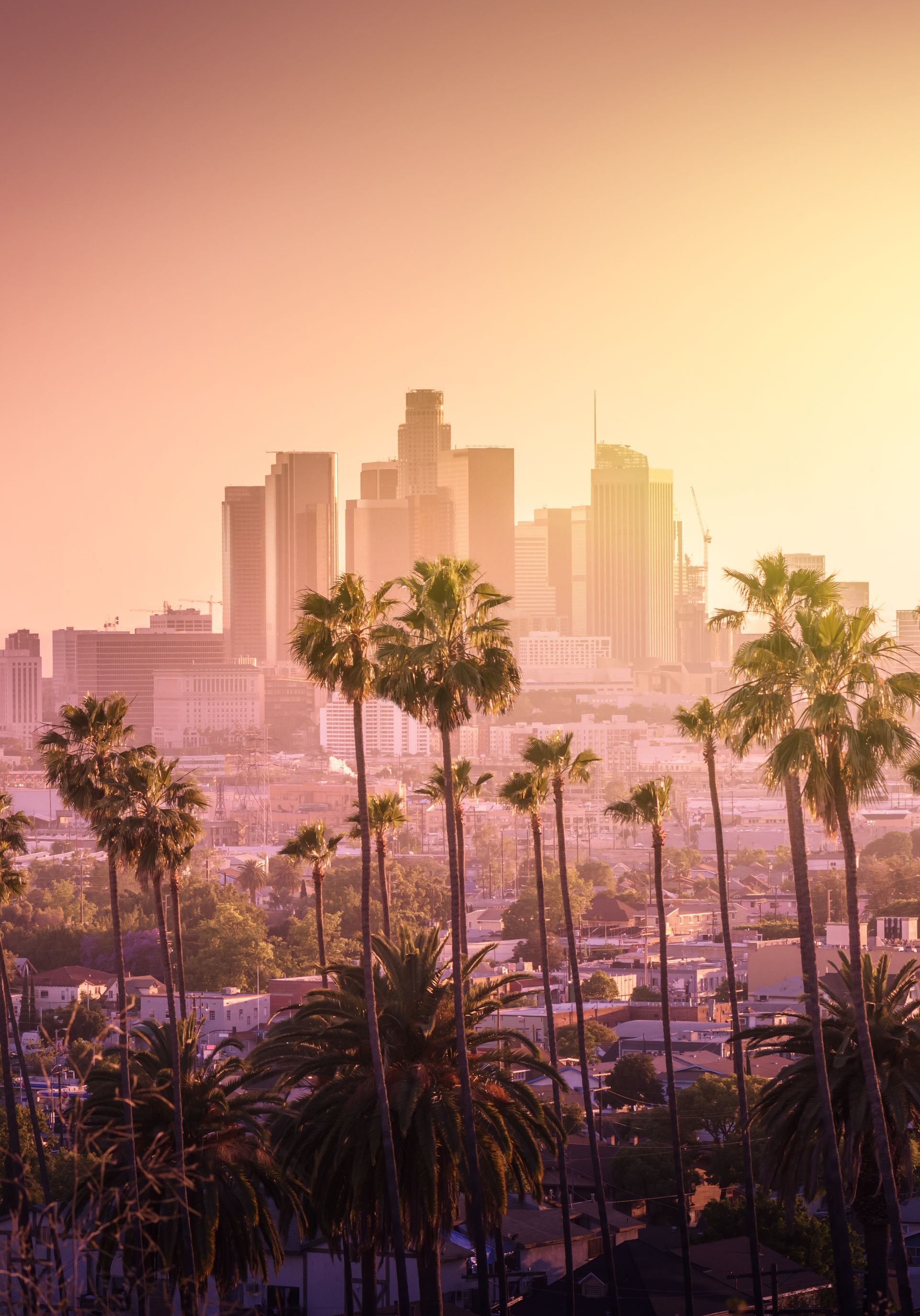 Sunlit skyline behind palm trees in a hazy pink-orange cityscape at sunset