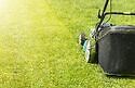 Lawn Care Fort Worth Texas