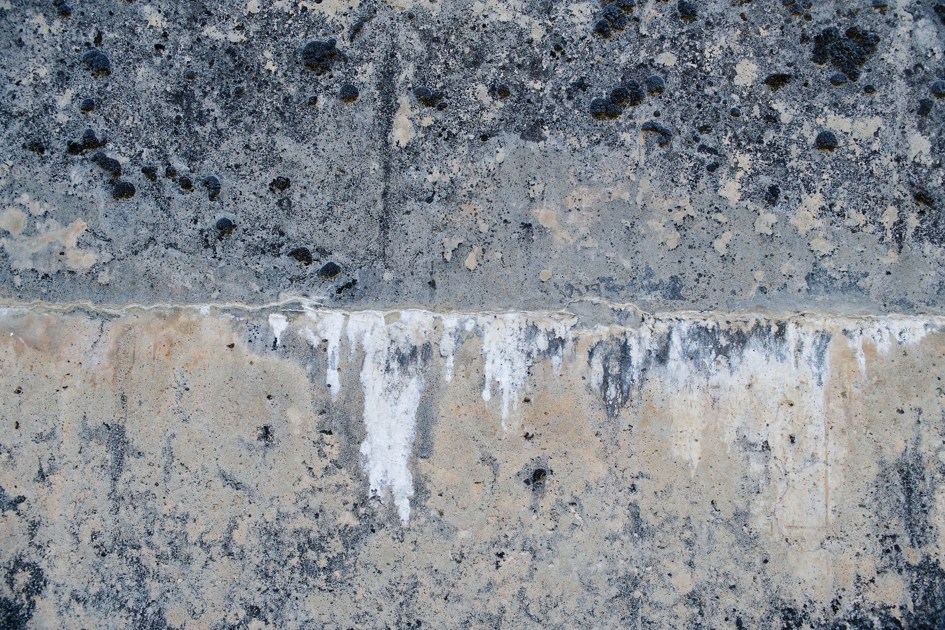 LITTORAL 2-13 Fine Art Photo Print