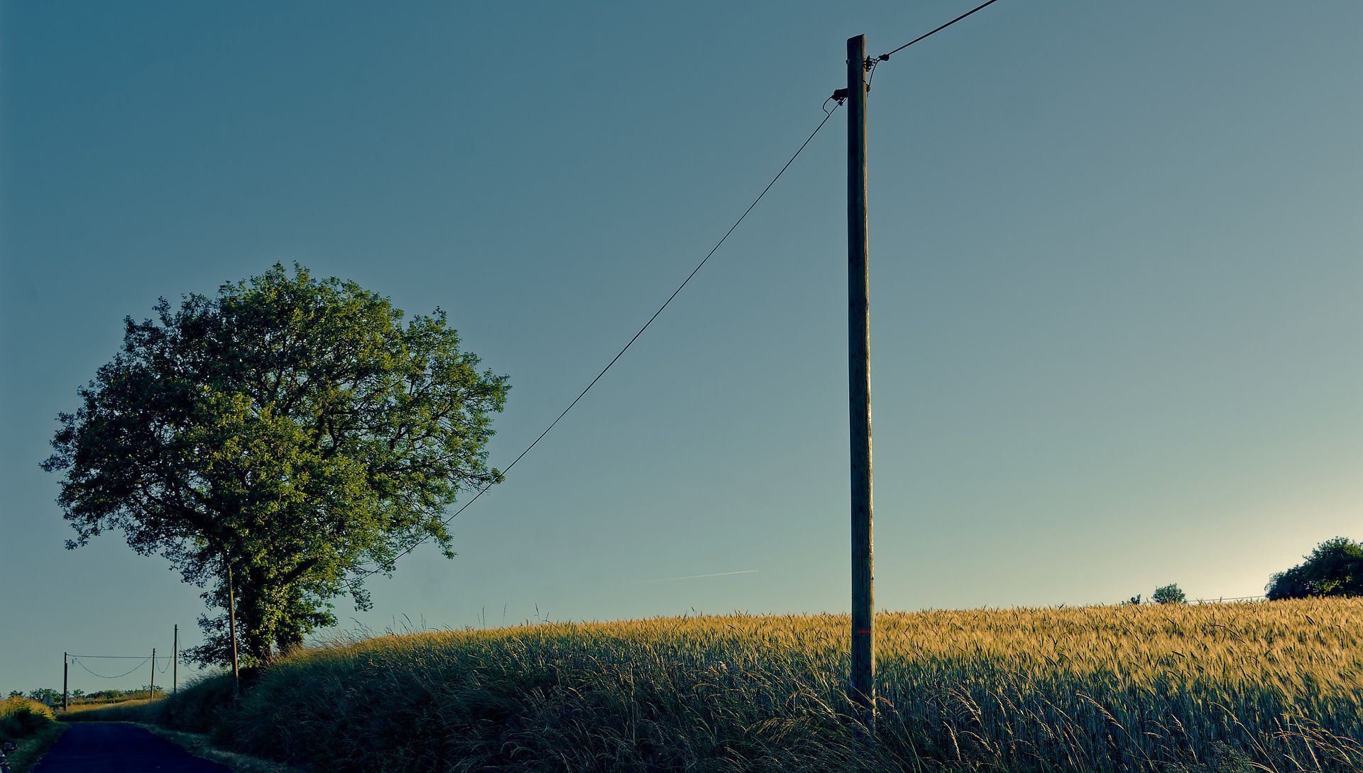 Roaming 10 Fine Art Photo Print