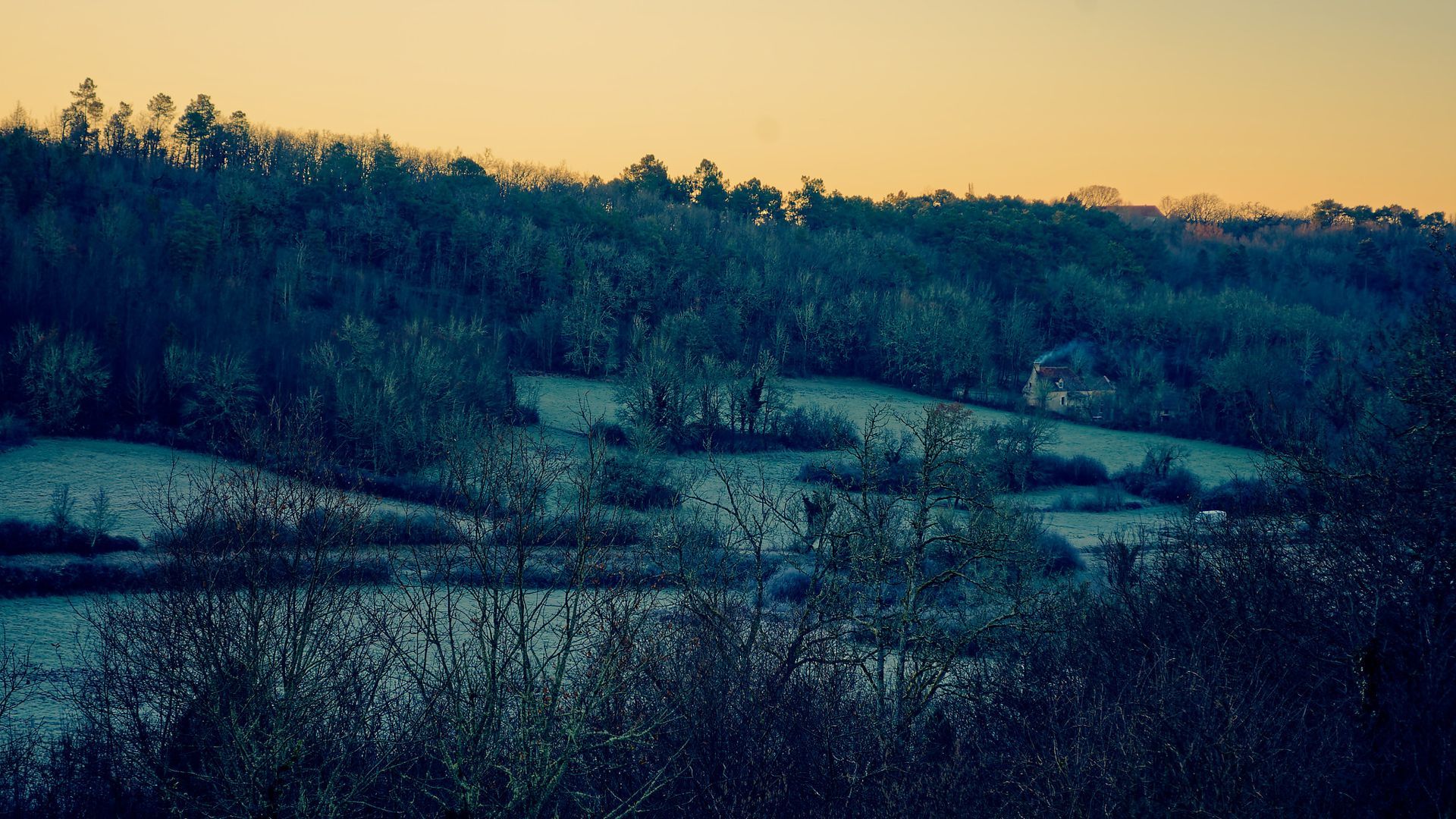 Roaming 11 Fine Art Photo Print