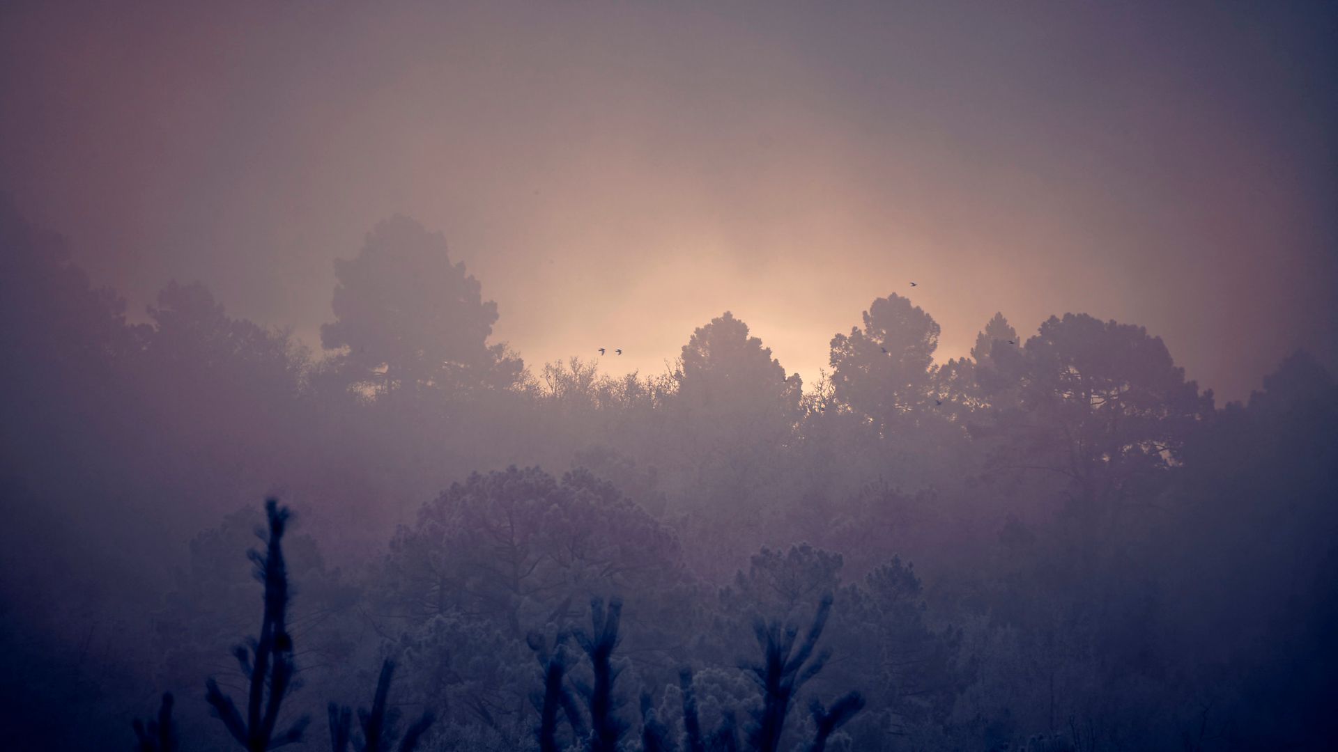 Roaming 13 Fine Art Photo Print