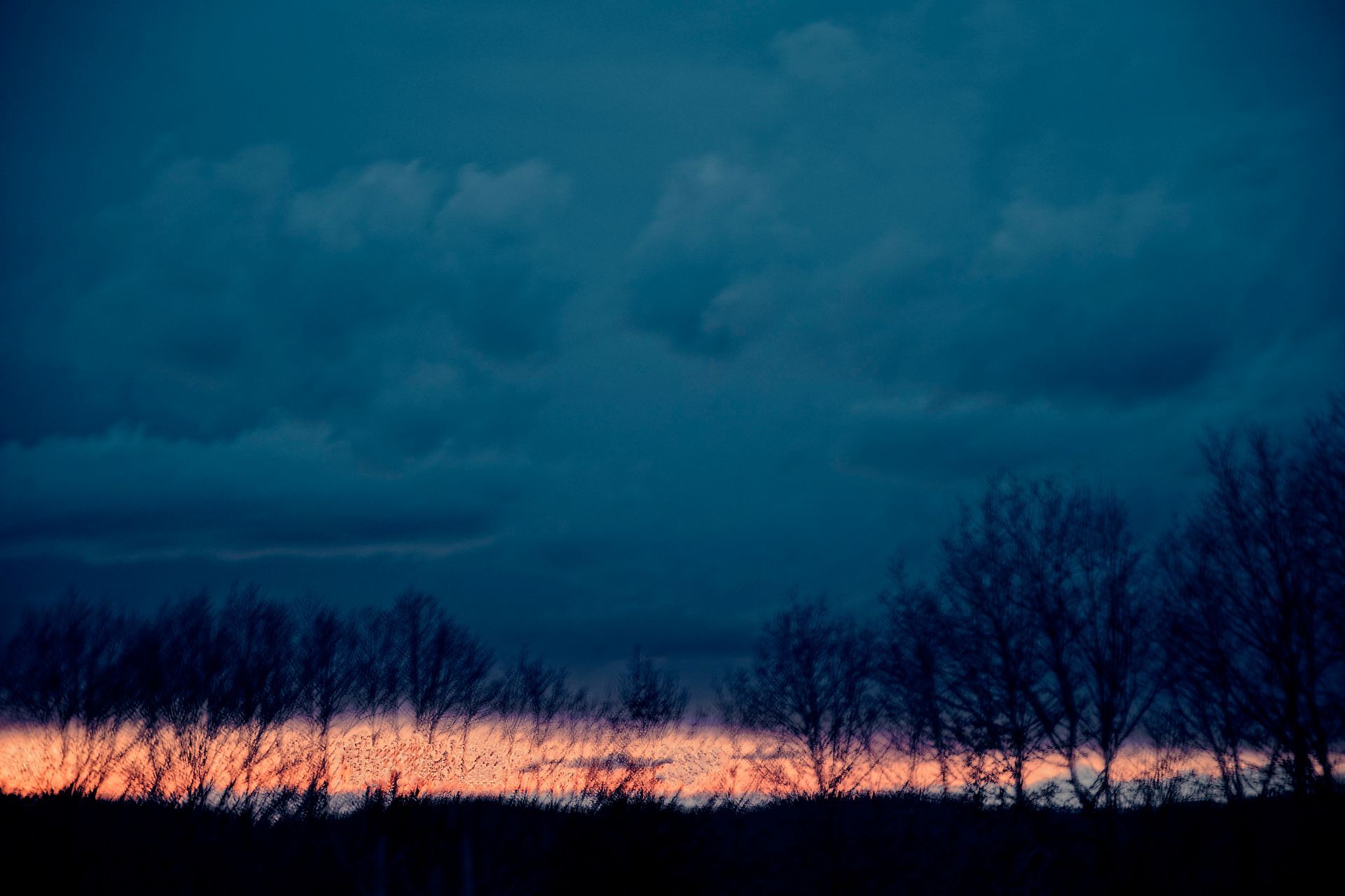 Roaming 14 Fine Art Photo Print