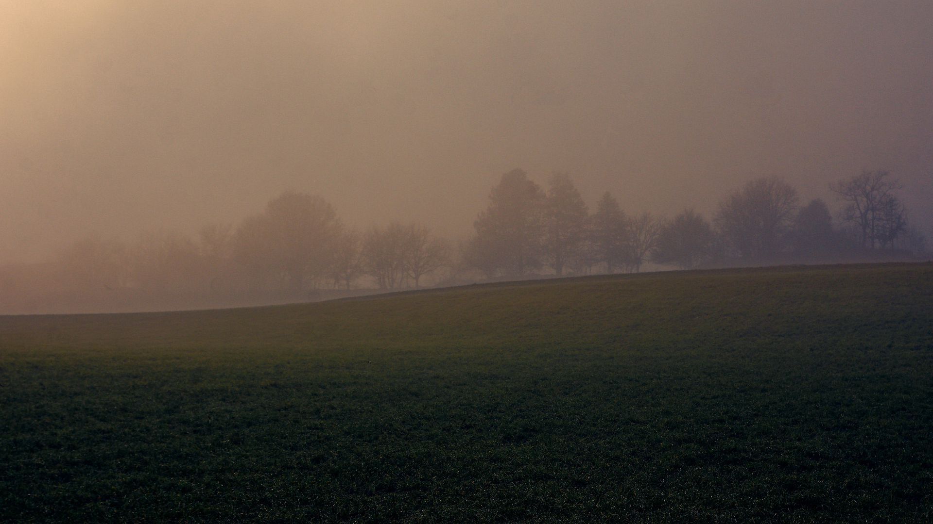 Roaming 15 Fine Art Photo Print