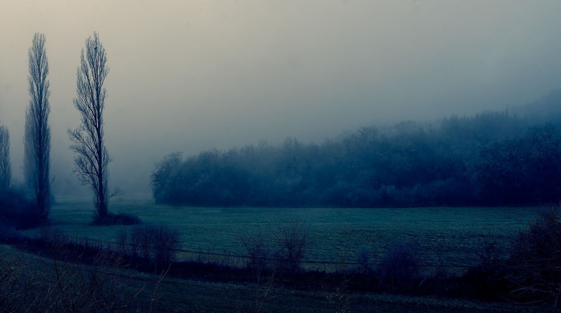 Vestiges 4 art print