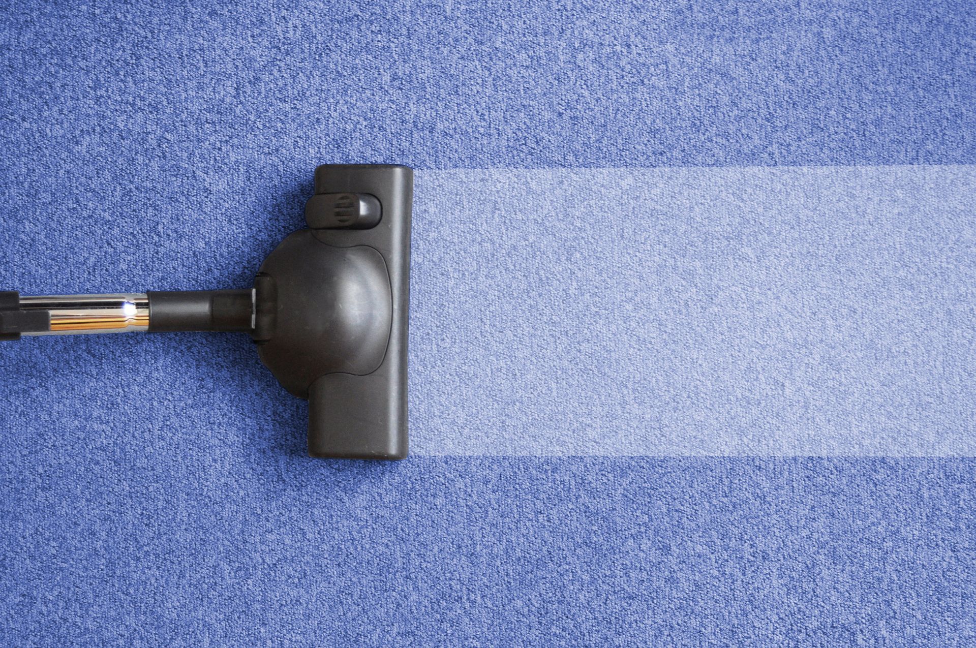Vacuum cleaner head cleans a carpet during a household cleaning service.