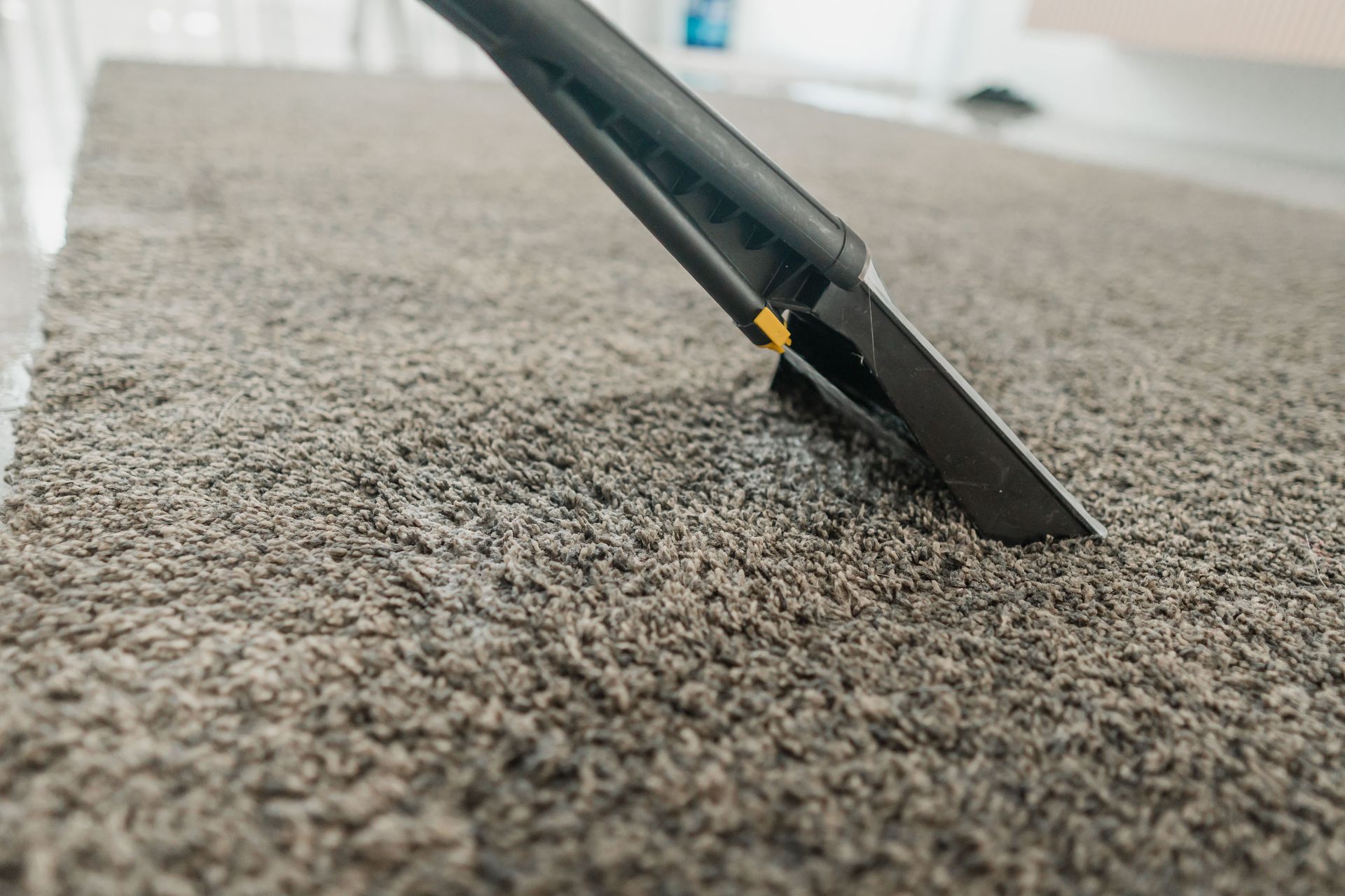 A carpet cleaning wand extracts embedded dirt from carpet fibers.