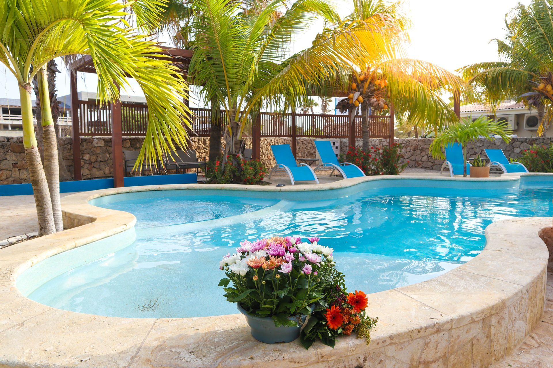 Tropical resort pool with blue lounge chairs, palm trees, and potted flowers in bright sunlight