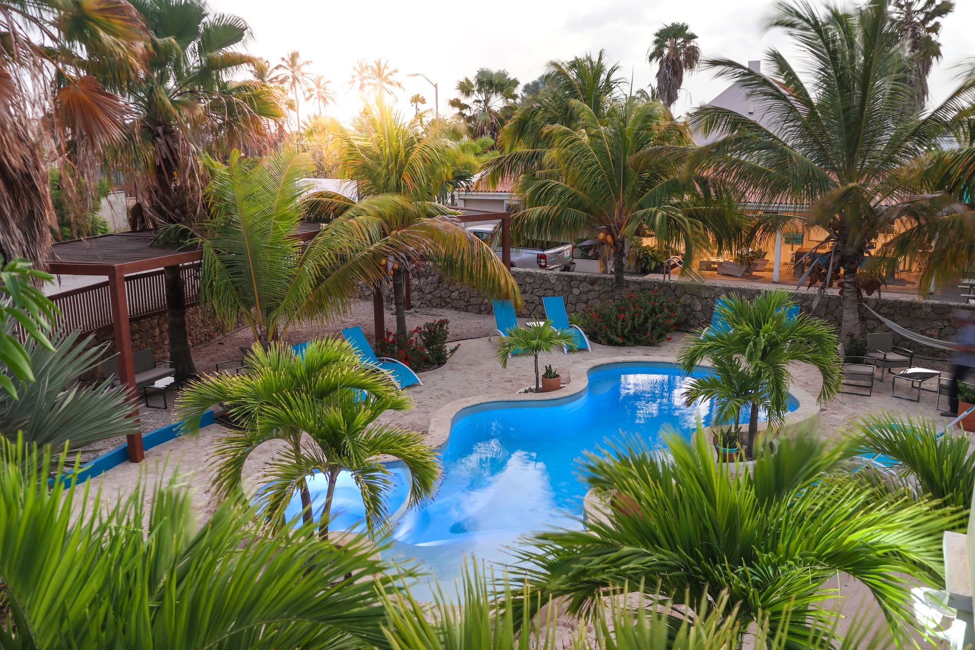 Tropical resort pool with palm trees, blue loungers, and warm sunset light