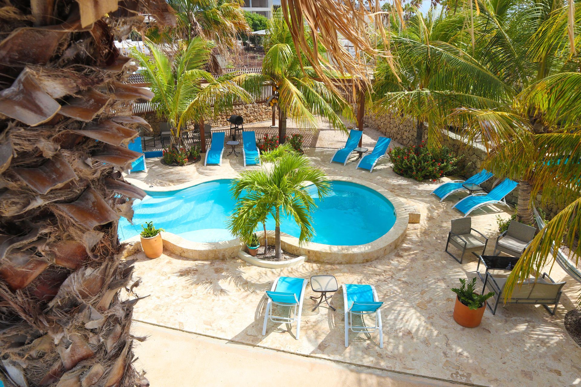 Palm-lined pool area with blue lounge chairs and a small round pool in a sunny courtyard
