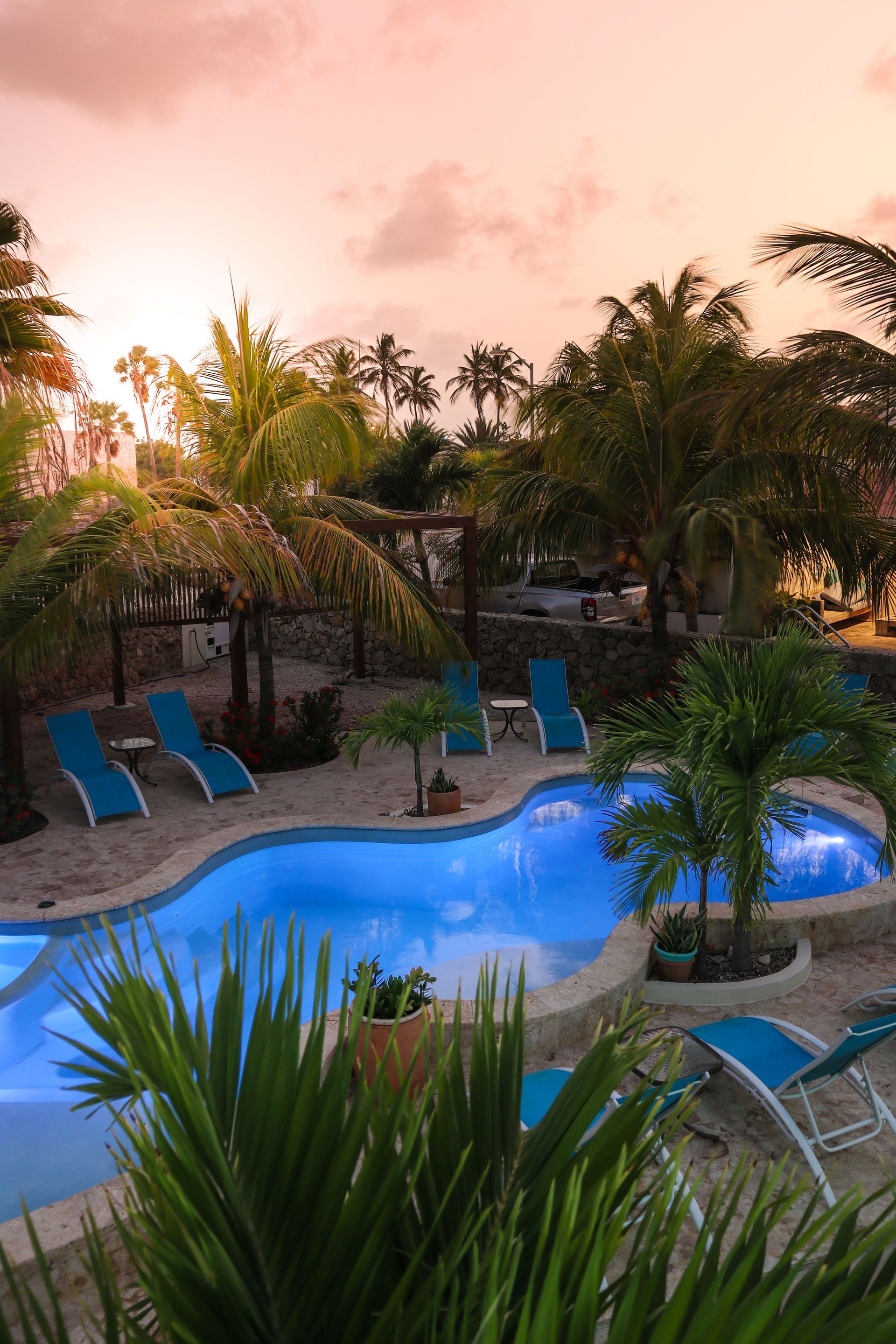 Tropical resort pool at sunset with blue lounge chairs and palm trees