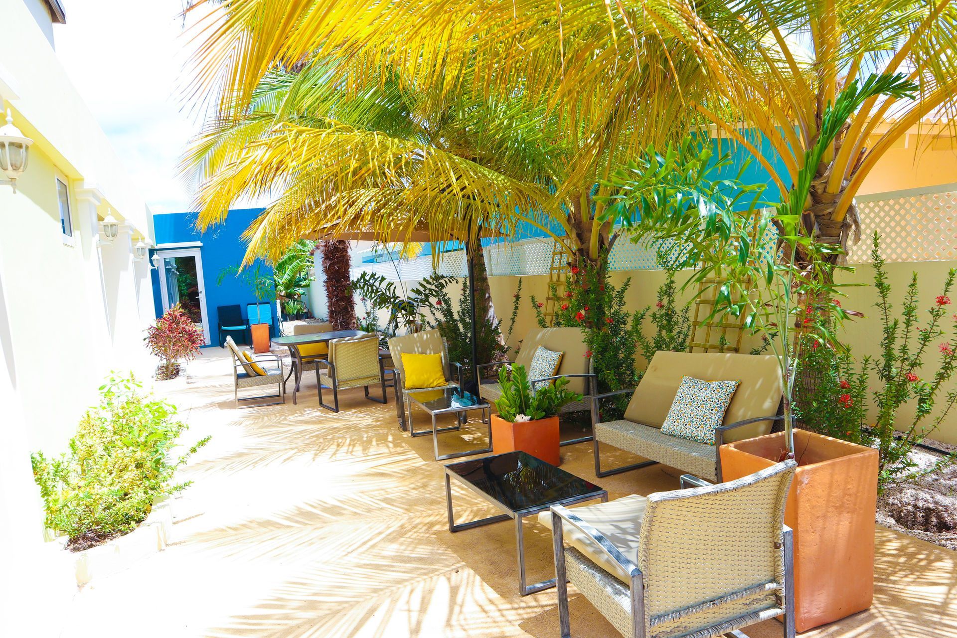 Sunny patio with wicker chairs, potted plants, and palm shade outside a blue-and-white building