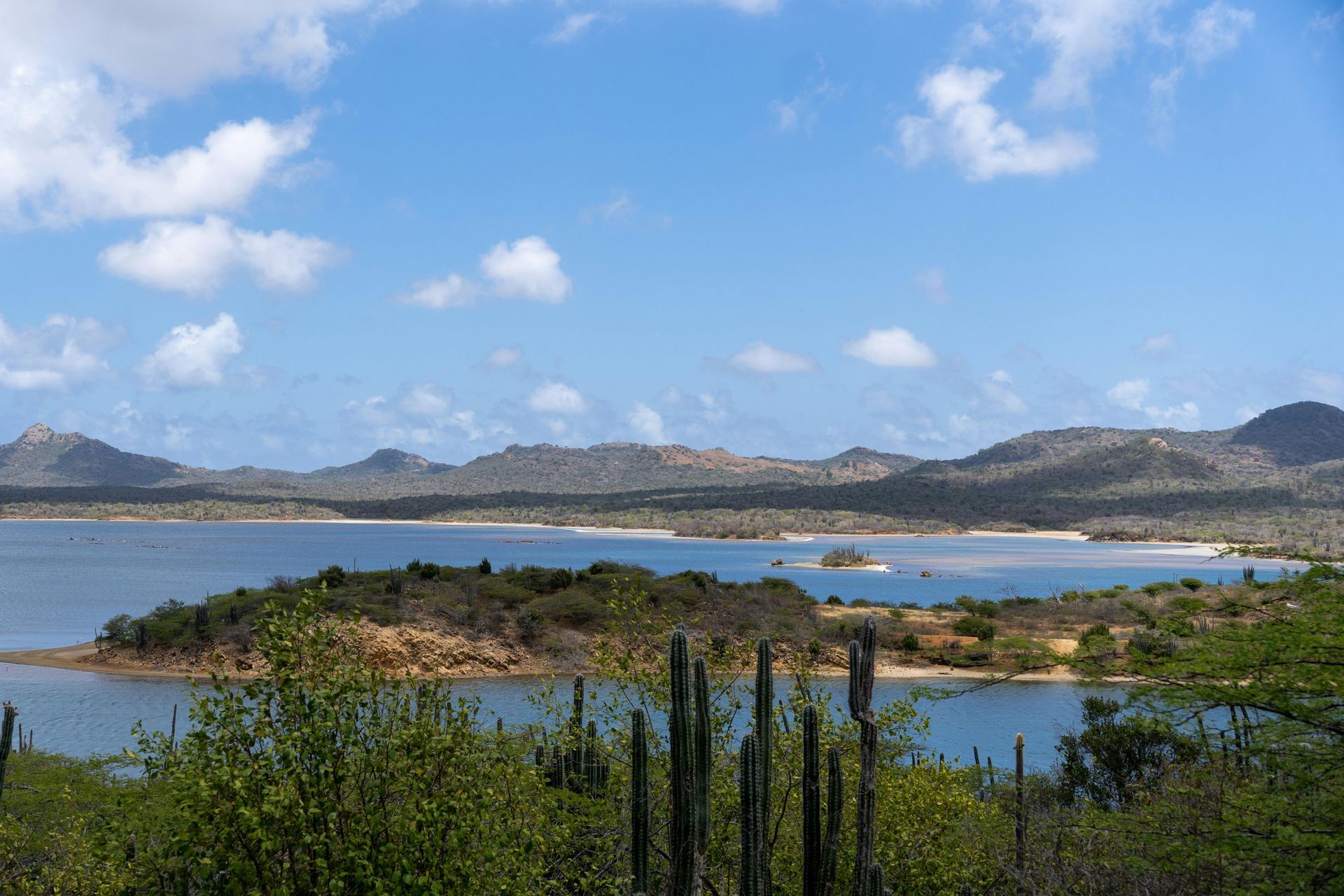 Lake with small islands, distant mountains, and cloudy blue sky, framed by green foreground plants.