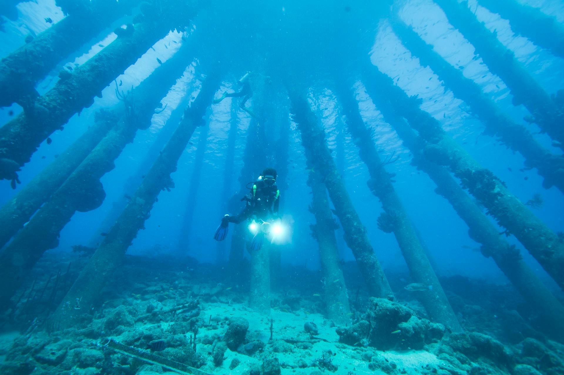 Outdoor seating area with beige furniture, palm tree, and colorful walls.