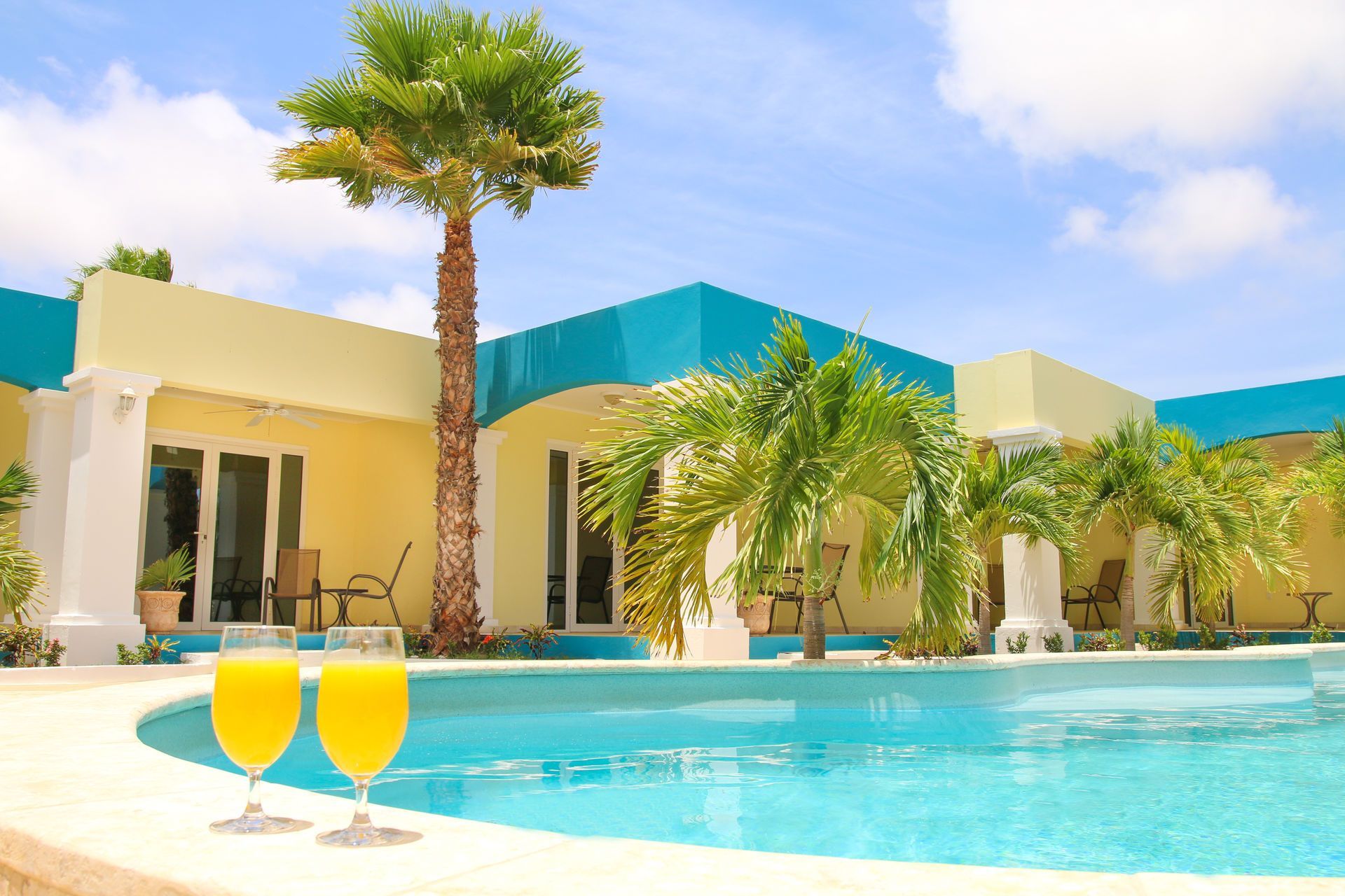 Luxury resort pool with palm trees, turquoise water, and two yellow drinks by the edge