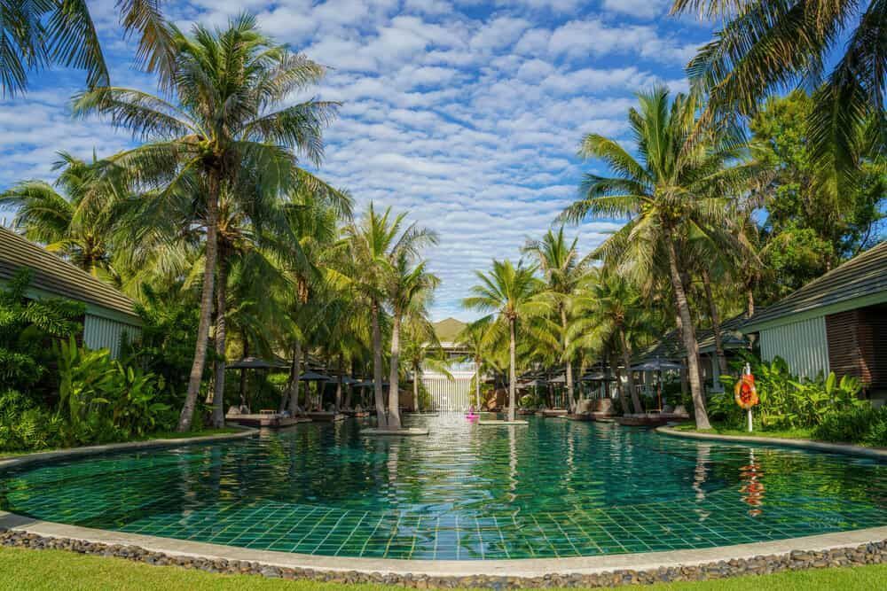 A Large Swimming Pool Surrounded by Palm Trees in a Tropical Resort — AH Electrical in Bangalow, NSW