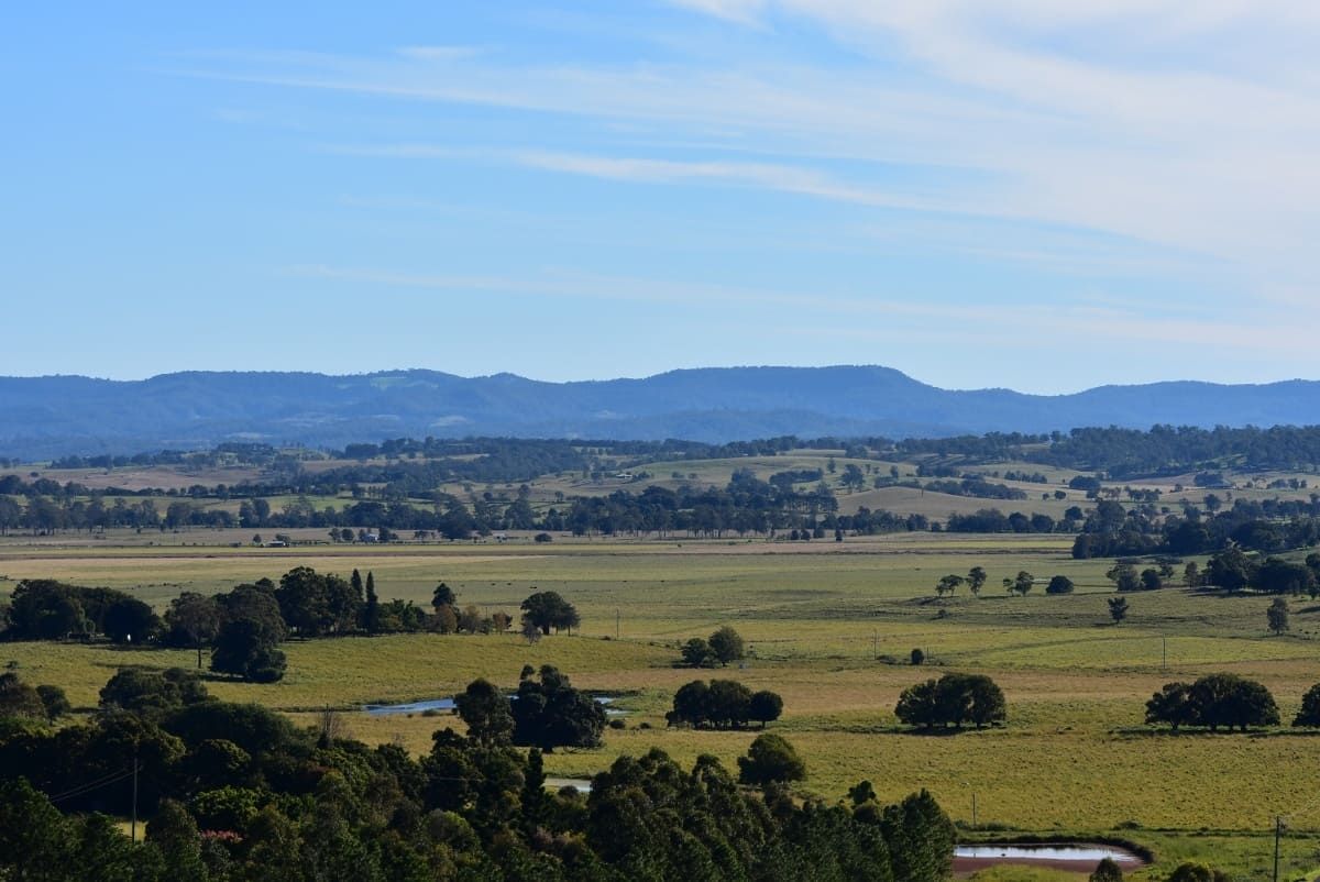 A View of a Lush Green Field With Trees and Mountains in the Background — AH Electrical in Kyogle, NSW