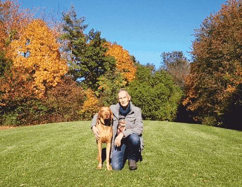 Guido Bauer, Hundetrainer, Verhaltensberater, Hundeerziehung und Hundebetreuung