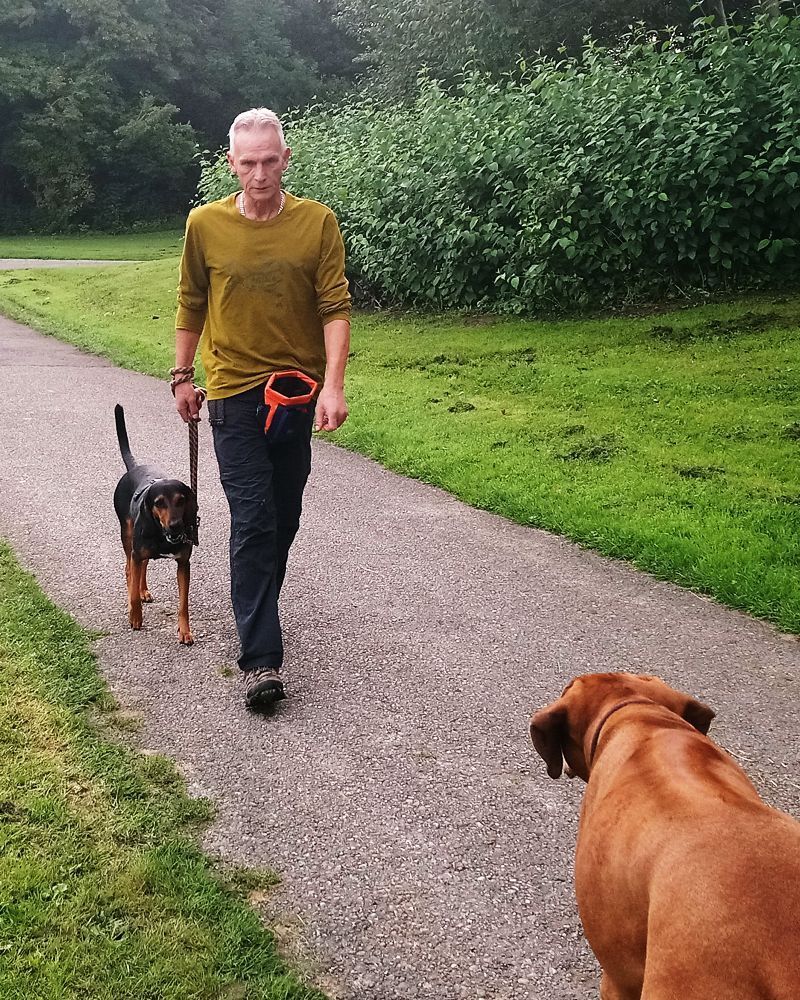 Hundebegegnung