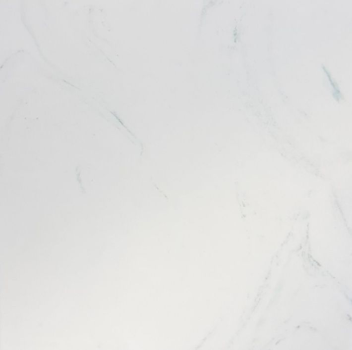 A close-up view of white marble stone with faint, soft grey veining throughout the smooth, polished surface. A close-up view of white marble stone with faint, soft grey veining throughout the smooth, polished surface.